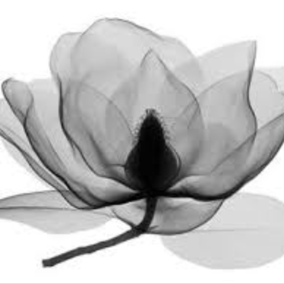 blackpoppyposh